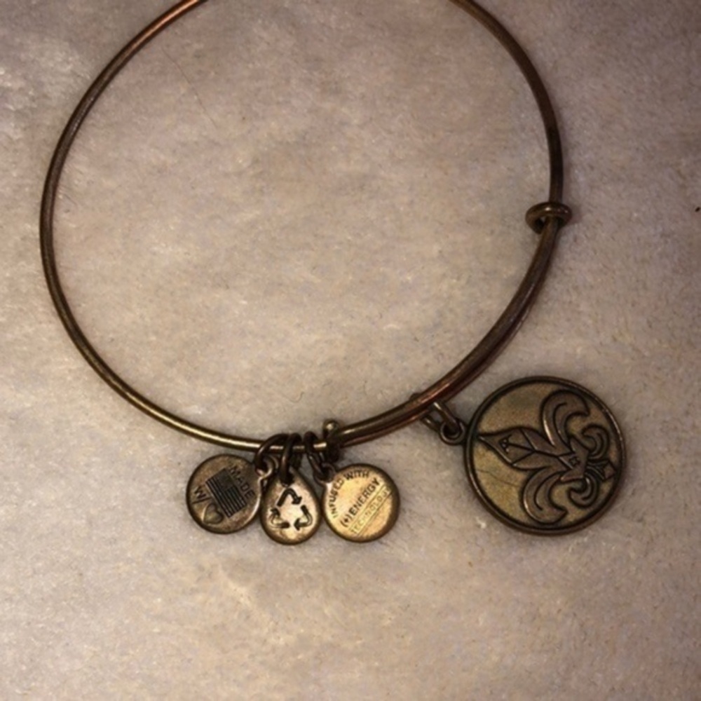 Alex&ani